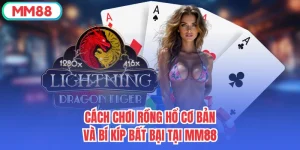 Cách Chơi Rồng Hổ Cơ Bản Và Bí Kíp Bất Bại Tại MM88
