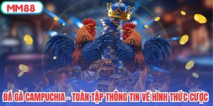 Đá Gà Campuchia - Toàn Tập Thông Tin Về Hình Thức Cược