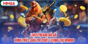 Livestream Đá Gà - Hình Thức Giải Trí Chất Lượng Tại MM88
