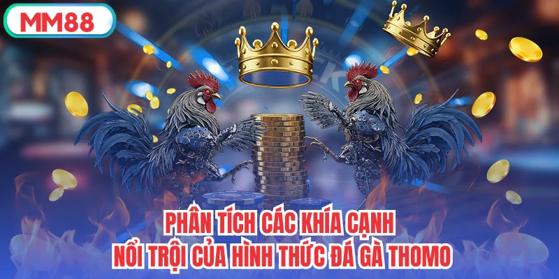 Phân tích các khía cạnh nổi trội của hình thức đá gà Thomo
